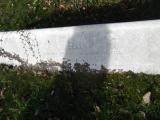 image of grave number 629393